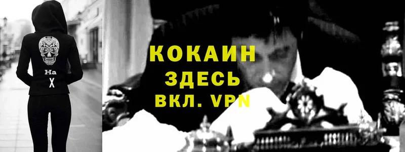 КОКАИН Эквадор  Арзамас 