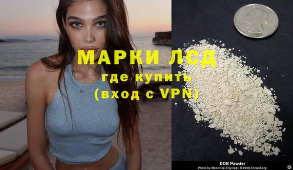 шишки Баксан